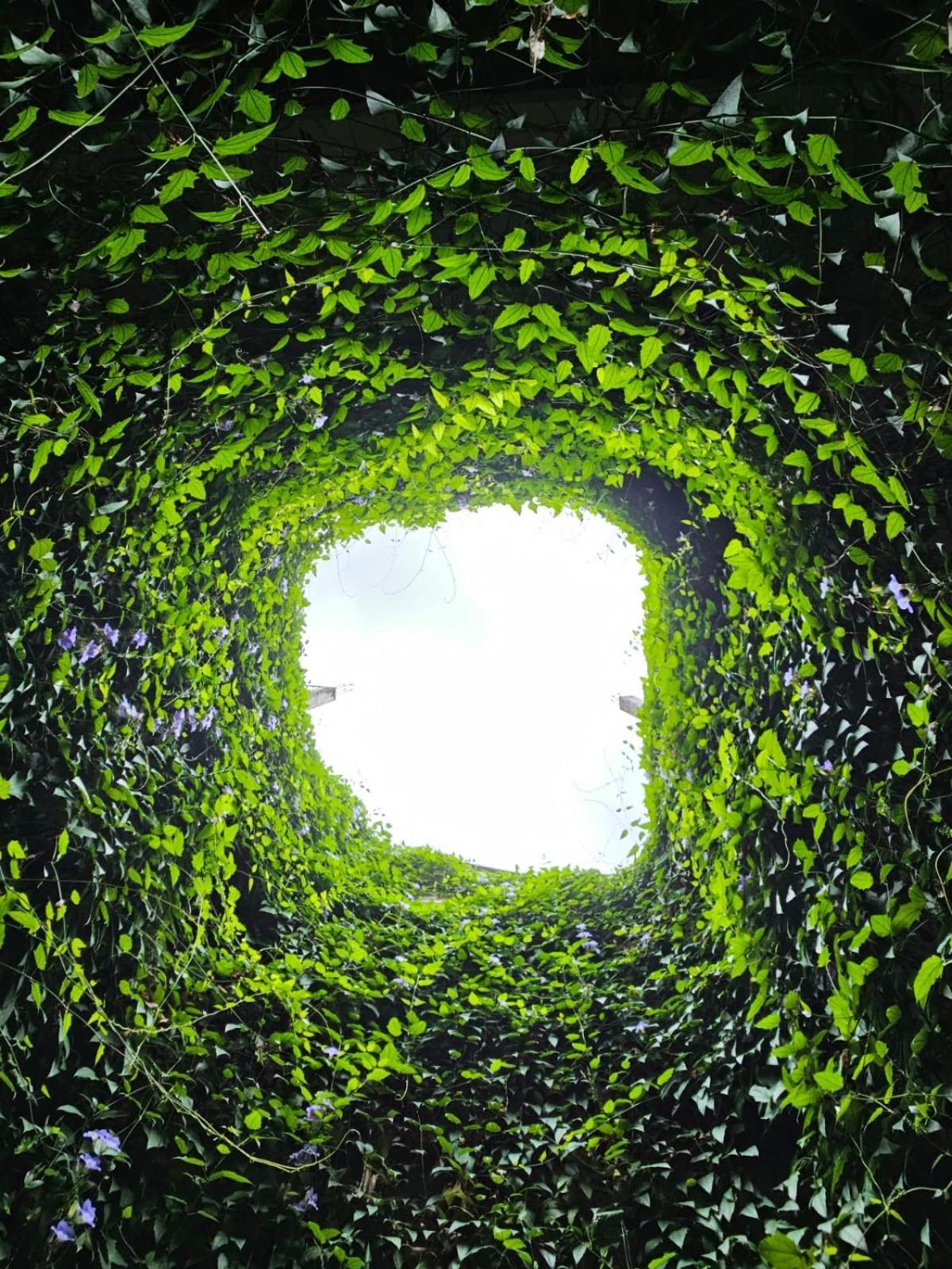 More Joy Matara Exteriör bild